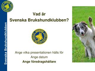 Vad är Svenska Brukshundklubben? Ange vilka presentationen hålls för Ange datum
