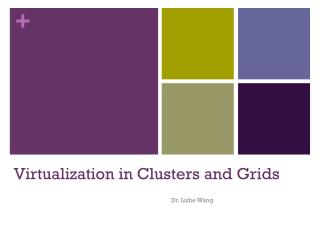 Virtualization in Clusters and Grids