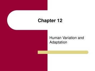 Chapter 12