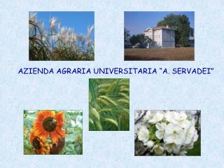 AZIENDA AGRARIA UNIVERSITARIA “A. SERVADEI”