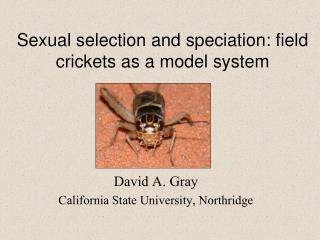 Sexual selection and speciation: field crickets as a model system