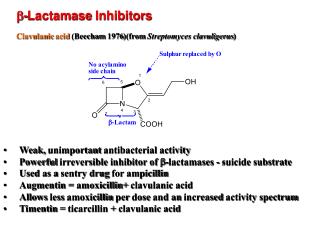 b - Lactamase Inhibitors