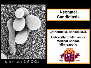 Neonatal Candidiasis