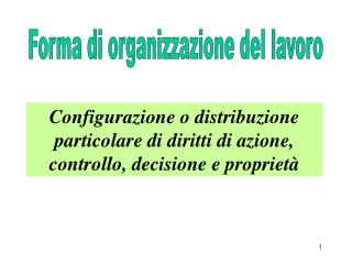 Forma di organizzazione del lavoro