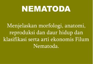 NEMATODA