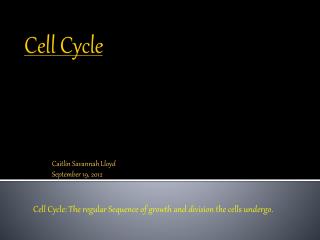 Cell Cycle