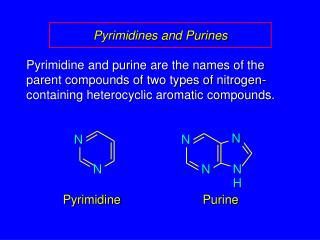 Pyrimidines and Purines