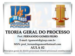 TEORIA GERAL DO PROCESSO