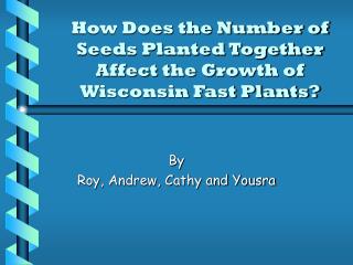 How Does the Number of Seeds Planted Together Affect the Growth of Wisconsin Fast Plants?