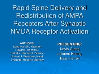 Rapid Spine Delivery and Redistribution of AMPA Receptors After Synaptic NMDA Receptor Activation