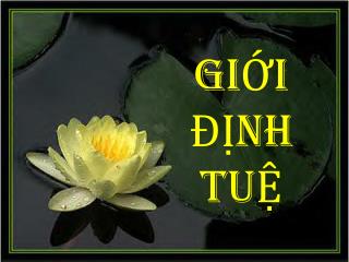 GIỚI ĐỊNH TUỆ