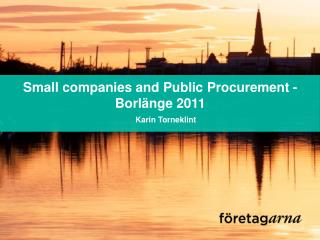Small companies and Public Procurement - Borlänge 2011