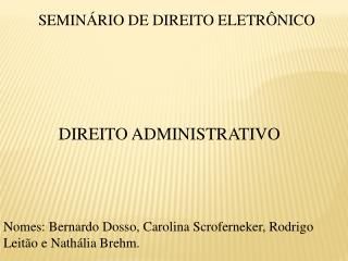 SEMINÁRIO DE DIREITO ELETRÔNICO DIREITO ADMINISTRATIVO