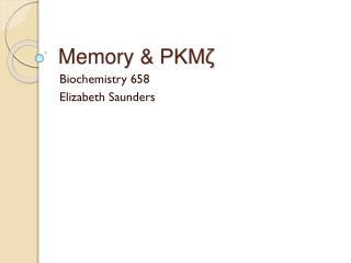 Memory &amp; PKMζ