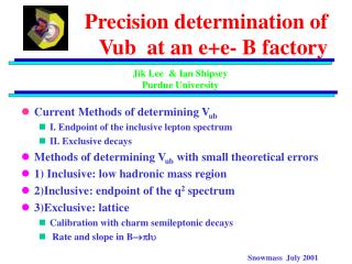Precision determination of Vub at an e+e- B factory