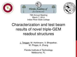Characterization and test beam results of novel triple-GEM readout structures