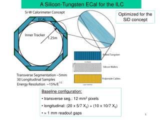 A Silicon-Tungsten ECal for the ILC