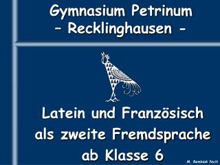 Gymnasium Petrinum – Recklinghausen -