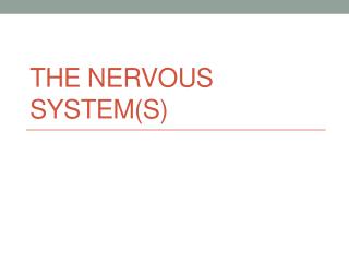 The Nervous System(s)