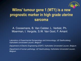 Wilms’ tumour gene 1 (WT1) is a new prognostic marker in high grade uterine sarcoma