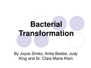 Bacterial Transformation