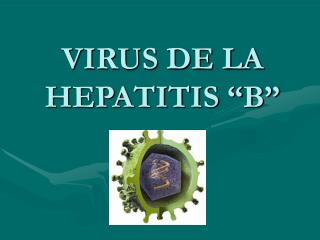 VIRUS DE LA HEPATITIS “B”