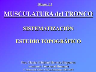 MUSCULATURA del TRONCO SISTEMATIZACIÓN ESTUDIO TOPOGRÁFICO