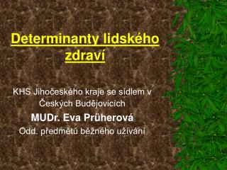 Determinanty lidského zdraví