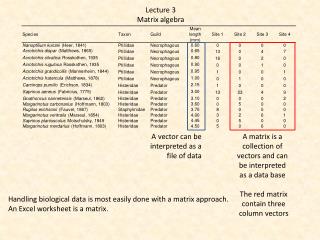 Lecture 3 Matrix algebra
