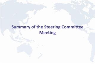 Summary of the Steering Committee Meeting