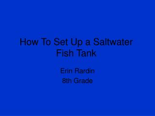 How To Set Up a Saltwater Fish Tank
