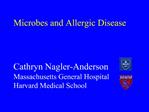 Microbes and Allergic Disease Cathryn Nagler-Anderson Massachusetts General Hospital Harvard Medical School