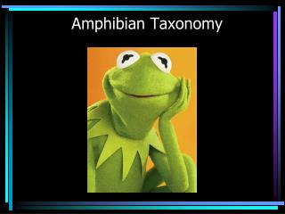 Amphibian Taxonomy