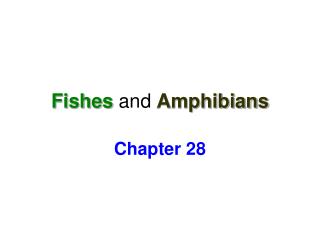 Fishes and Amphibians