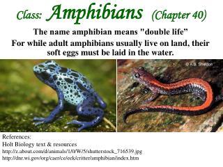 Class: Amphibians (Chapter 40) The name amphibian means &quot;double life”