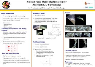 Uncalibrated Stereo Rectification for Automatic 3D Surveillance
