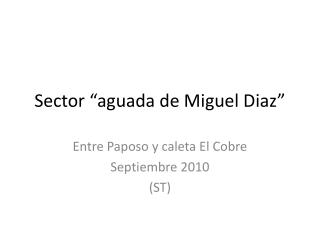 Sector “aguada de Miguel Diaz”