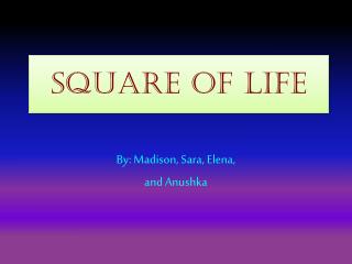 Square of Life