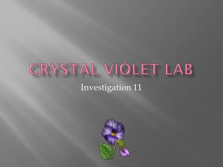 Crystal Violet Lab