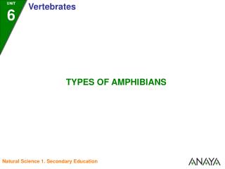 Amphibians