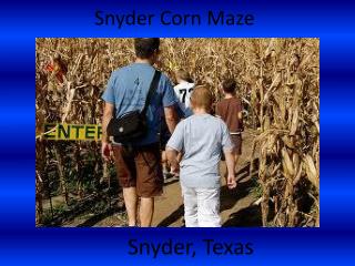 Snyder Corn Maze