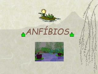 ANFÍBIOS