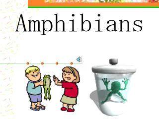 Amphibians