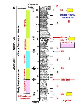 LULWORTH FORMATION