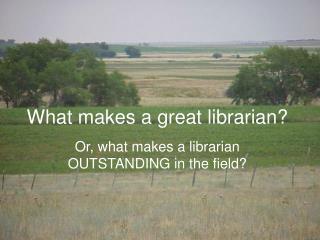 What makes a great librarian?