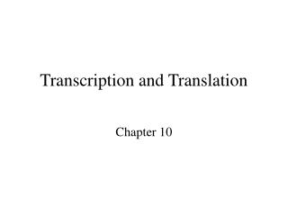 Transcription and Translation