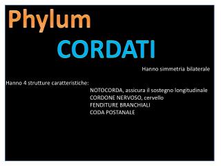 CORDATI