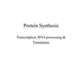 Protein Synthesis