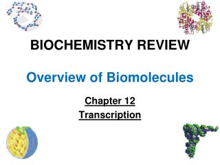 BIOCHEMISTRY REVIEW Overview of Biomolecules