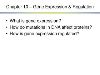 Chapter 10 – Gene Expression &amp; Regulation
